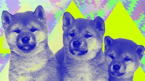 What is Shiba Inu (SHIB)? - The Giving Block