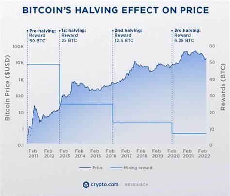 VanEck: Bitcoin Outperformed Every Asset, But Miners Hit Hard by 2024 Halving - Crypto News BTC