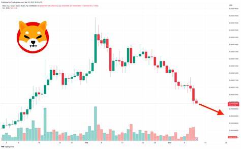 Shiba Inu Price Prediction: Can the SHIB Price Break Records with an 800% Rally? - Coinpedia Fintech News