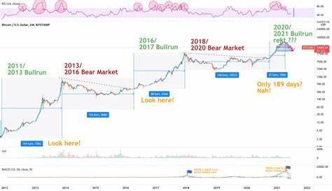 Bitcoin (BTC) Price Predictions: Big Bull Run or a Depressing Bear Market Ahead? - TradingView