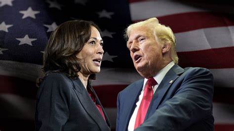 Harris gegen Trump: Wie verlässlich sind die Umfragen zur US-Wahl? Ein Experte klärt auf