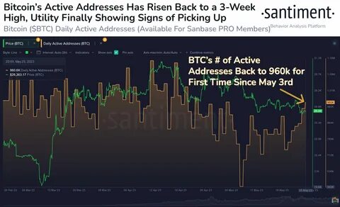 Bitcoin active addresses plummet to five-year low - CryptoSlate