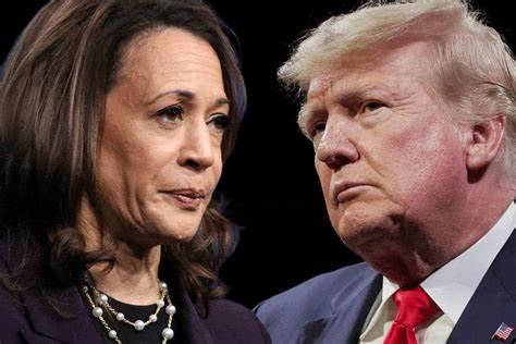 Trump vs. Harris: What each US presidency could mean for your investments - Arabian Business