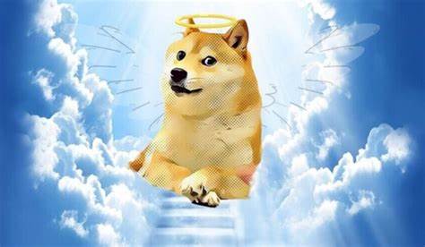 Kabosu, beloved dog who inspired Doge crypto, has died - Mashable