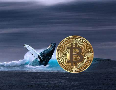 Bitcoin’s Biggest Whales’ Share of the Total BTC Supply Is Now at a 27-Month High