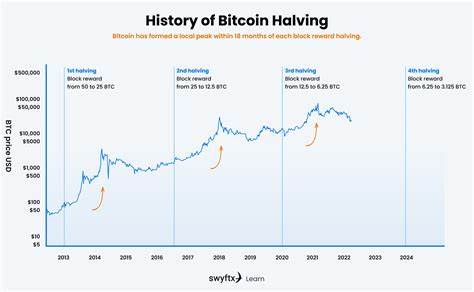 Bitcoin price trends post-halving: Historical data points to cyclical surges - CryptoSlate