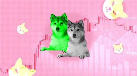 Shiba Inu loses value as Shibarium adoption slows down, 8% decline likely - FXStreet