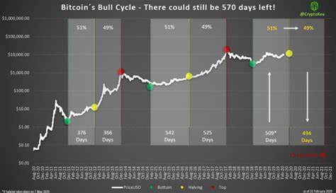 Bitcoin’s next bull run ‘may last 1,000 days’ - Asia Times