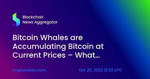 Whales transfer Bitcoins at an alarming rate - Nairametrics