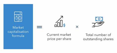 Market cap overhang a challenge for potential listing: PhonePe