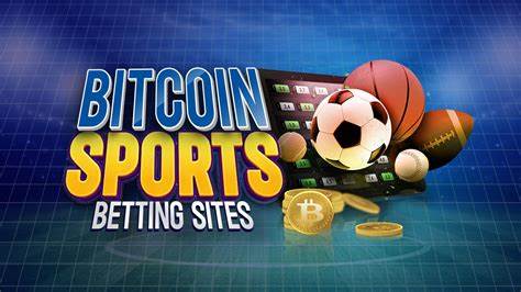 Best Crypto & Bitcoin Sports Betting Sites for 2024 - Update - The Hudson Reporter