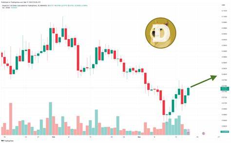 Dogecoin price’s 13% drop – SHIB, TON predicted to replace DOGE in top-10? - AMBCrypto News