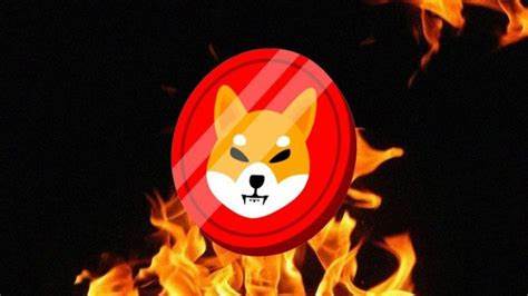 Shiba Inu Burn Rate Soars 1000% as SHIB Eyes New ATH - Coinpedia Fintech News