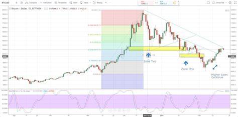Cryptocurrency Prices on September 5: Bitcoin surges above $57,000; Ethereum and Litecoin gain up to 4% - The Economic Times