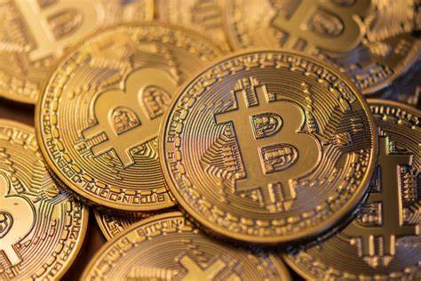 Bitcoin or Broke: Man Gambles House on Cryptocurrency - Newsweek