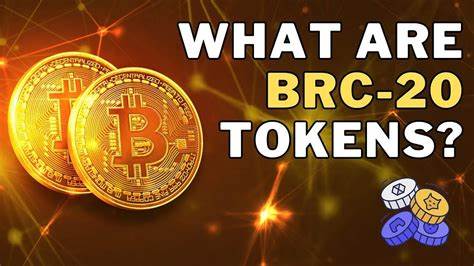 What Are BRC-20 Tokens? BRC 20 Tokens Explained - CoinDCX