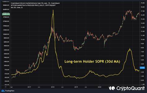 Long-term holders currently possess more than 14 million BTC - CryptoSlate