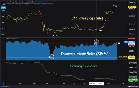 Bitcoin Surges To $65K: Whales And Spot ETF Demand Drive Momentum - NullTX