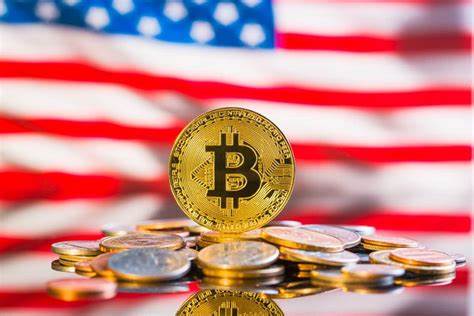 US Elections 2024: Pro-Crypto Candidates for the WIN? Ripple CEO Comments - Coinpedia Fintech News