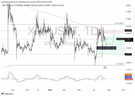 Ripple CLO says less than 10% of appeals result in reversal, expresses confidence in XRP ruling - FXStreet