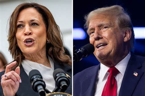 U.S Elections: Kamala Harris leading Donald Trump in key polls; that could be a mirage says noted expert - The Economic Times