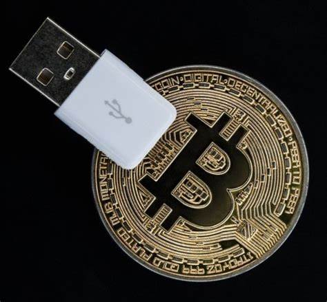 The Best Bitcoin Wallets to Consider for Secure Crypto Storage in 2024 - Outlook India