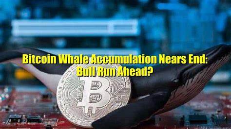 Bitcoin Whales Deplete Exchange Reserves, Bull Run Nears - FXDailyReport.com