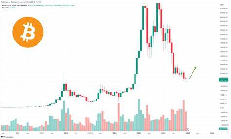 2 Expert Bitcoin (BTC) Price Predictions: One Bull and One Bear(ish) - CryptoPotato